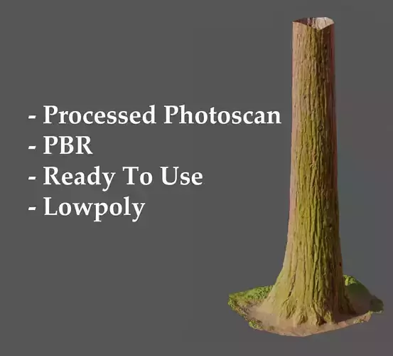 Redwood Pine Conifer Trunk 3D PhotoScan Realistic 