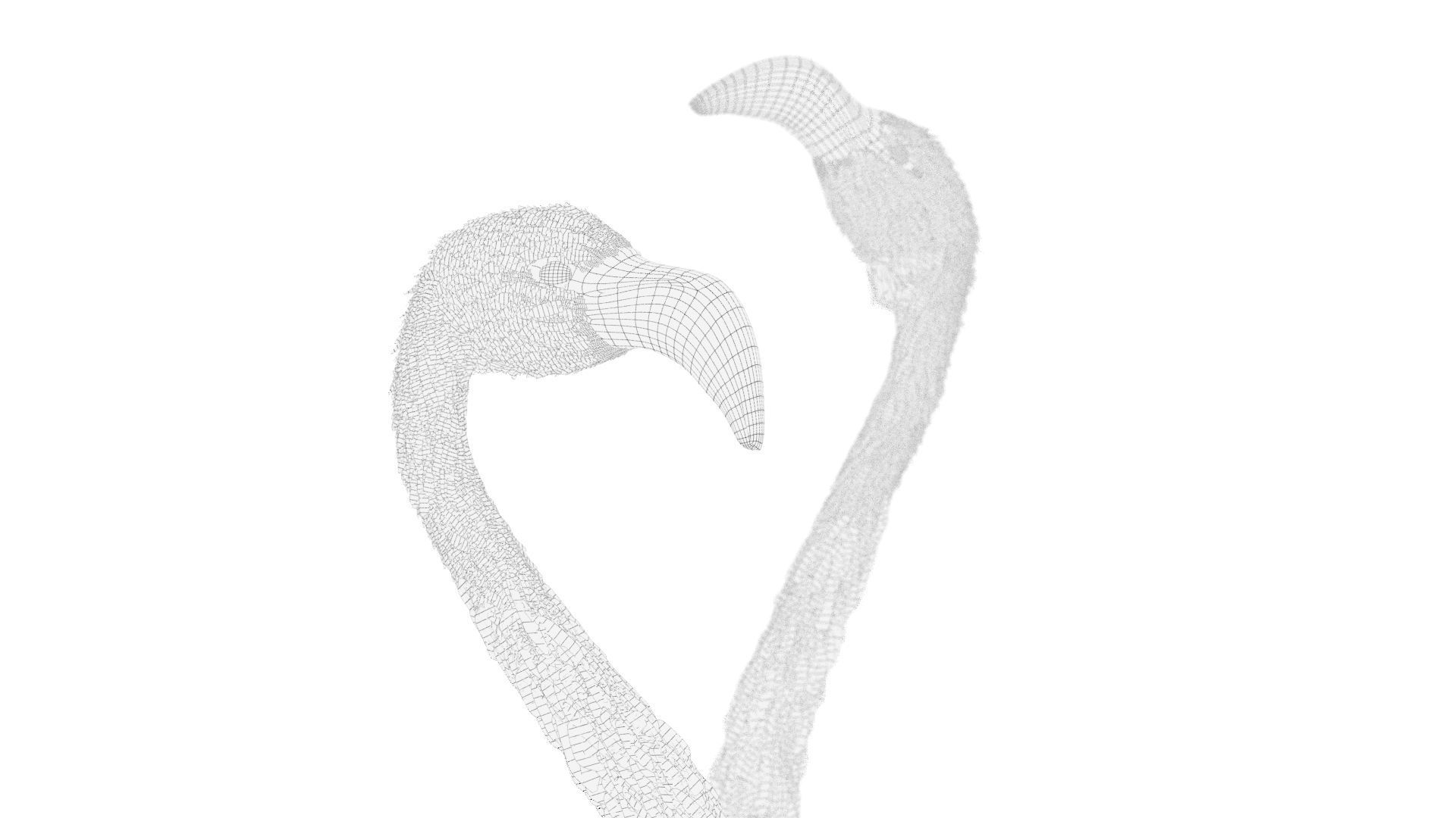 Flamingo two flamingos 3D model_7