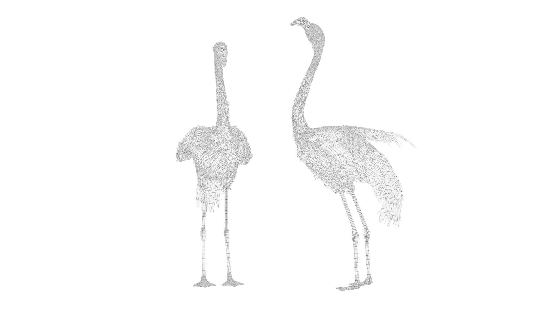 Flamingo two flamingos 3D model_8