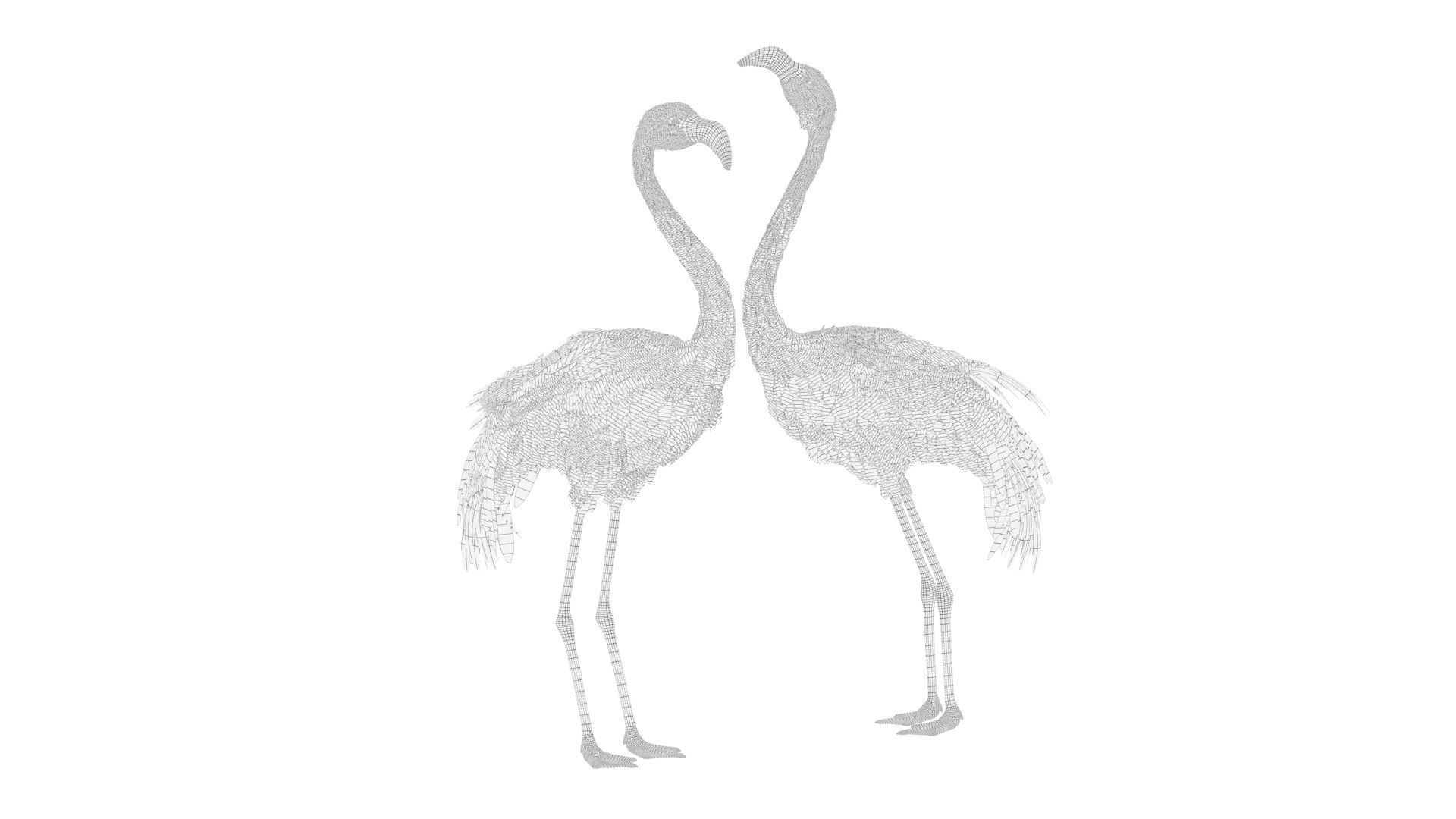 Flamingo two flamingos 3D model_6