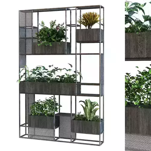 plant in box set 057