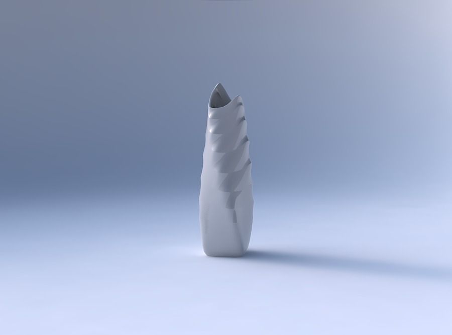 Vase twisted double arc rectangle with sections and twisted l... 3D print model_4