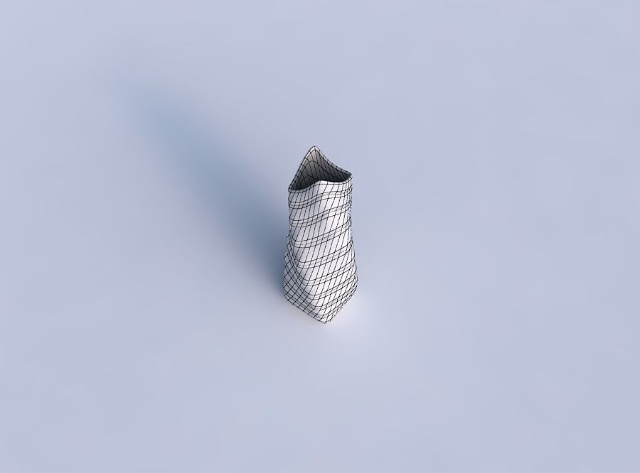 Vase twisted double arc rectangle with smooth horizontal dents 2 3D print model_6