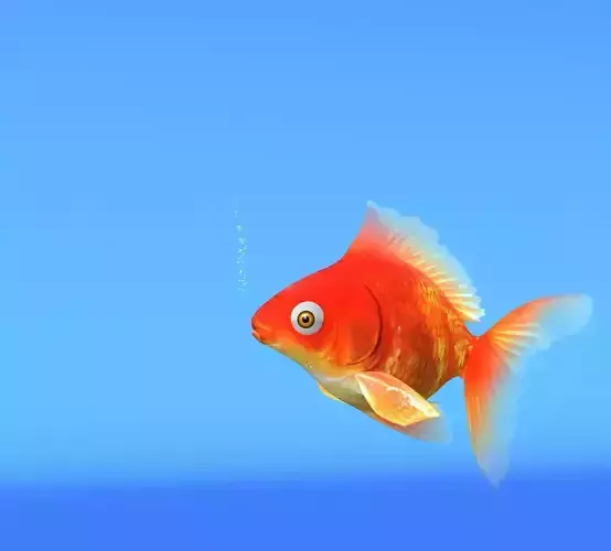 Gold Fish low-poly Low-poly 3D model