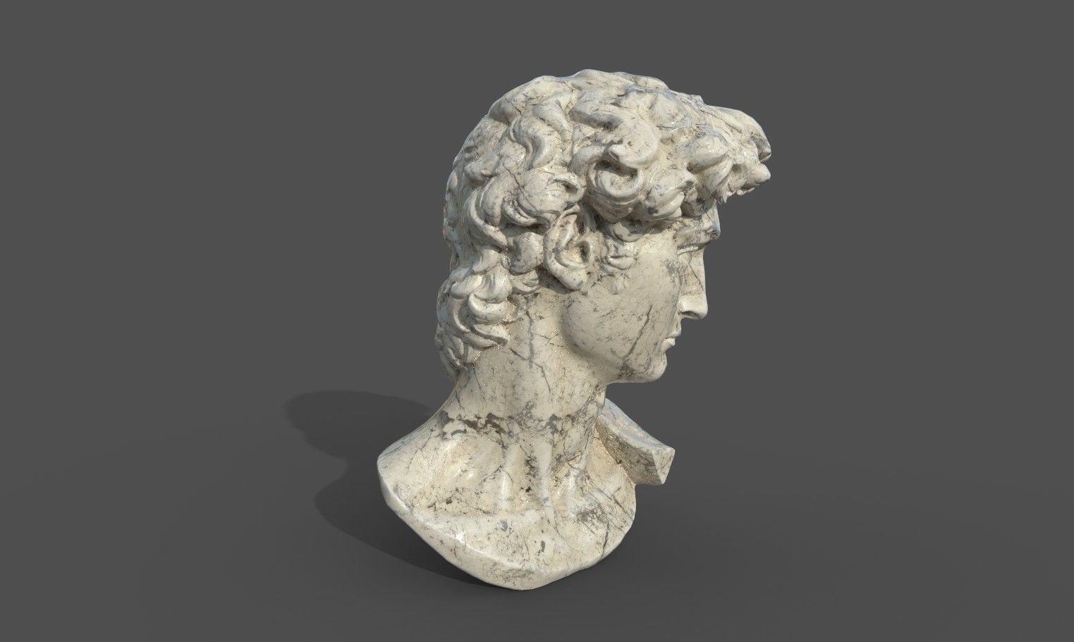 Bust of David   Low-poly 3D model_24