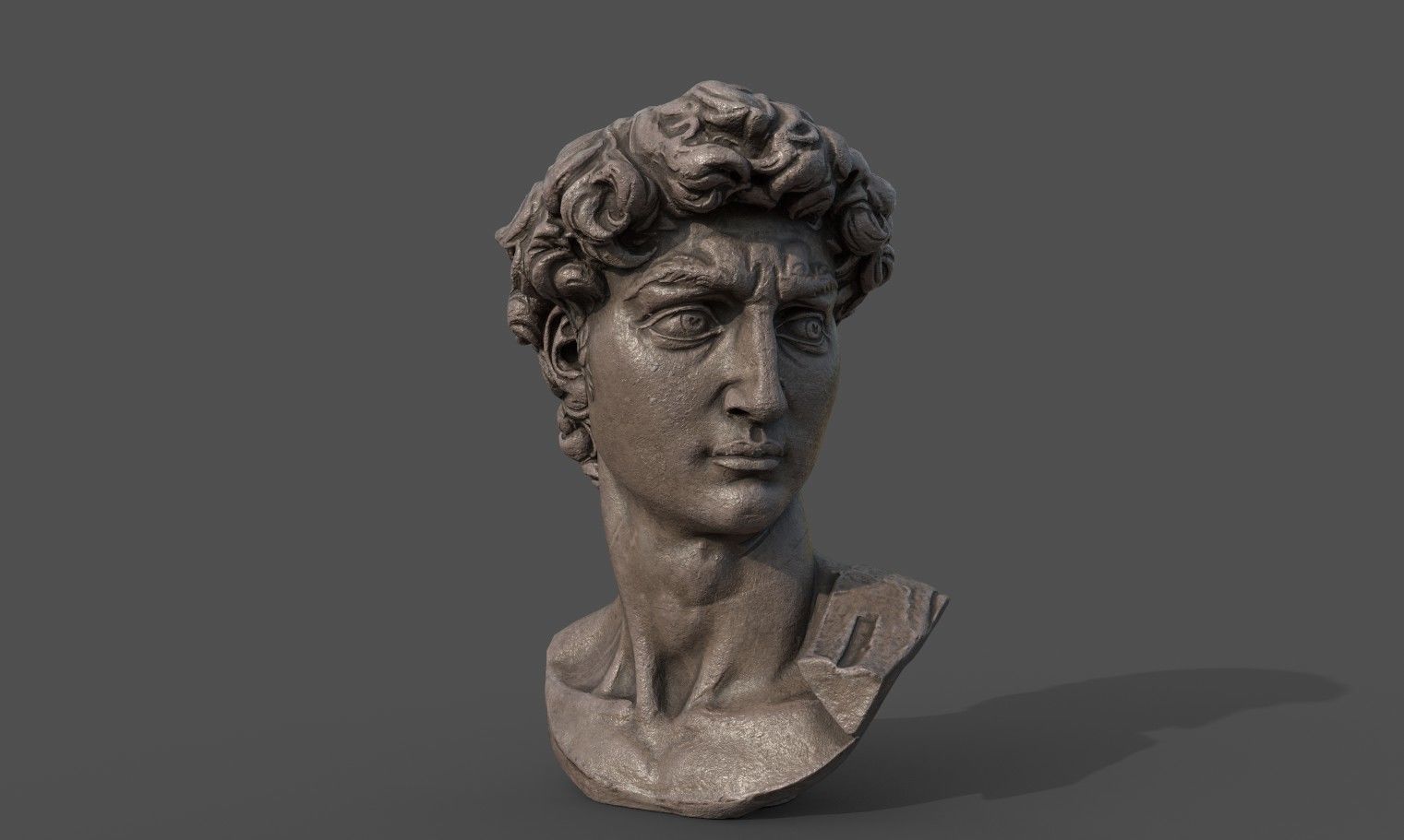 Bust of David   Low-poly 3D model_12