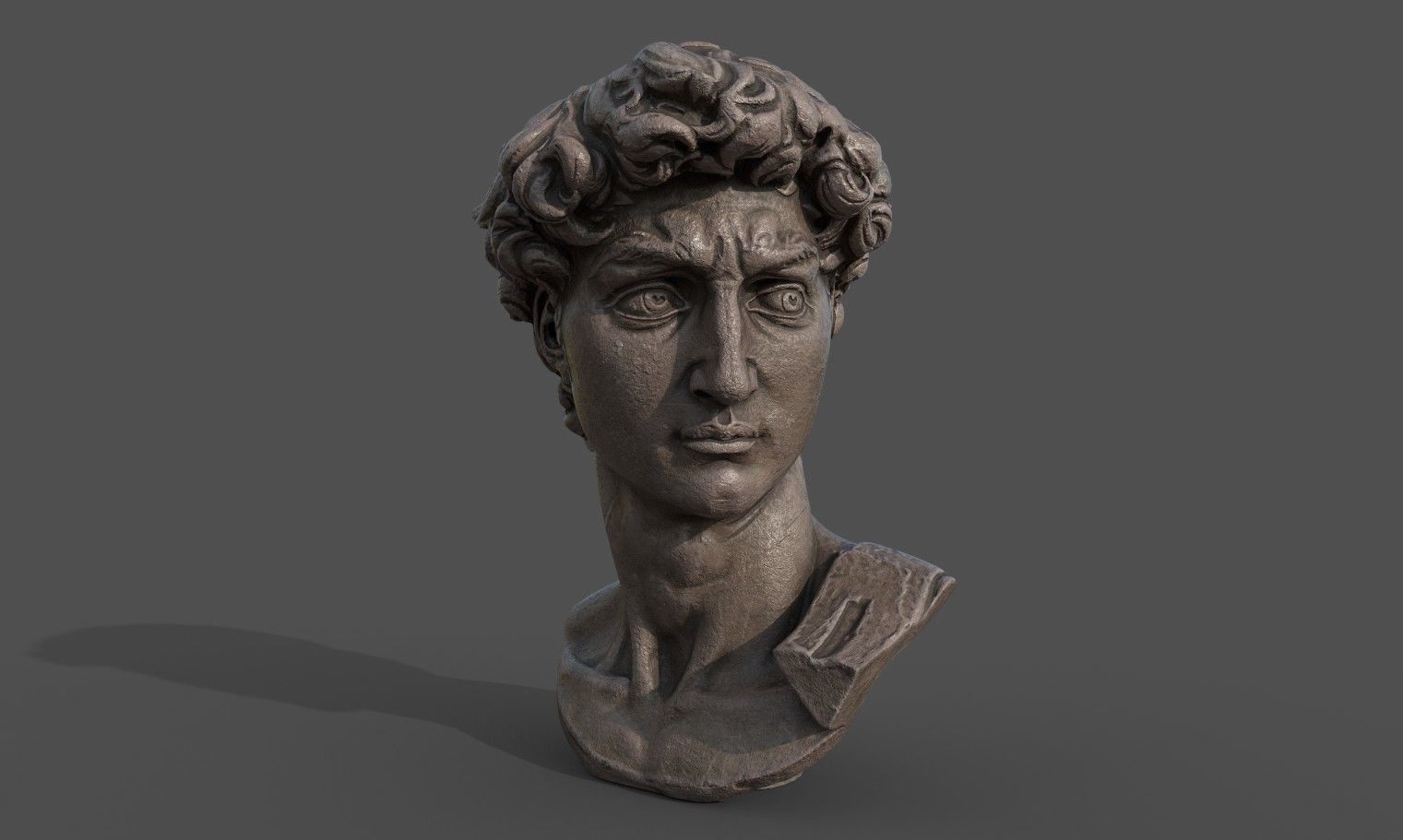 Bust of David   Low-poly 3D model_1
