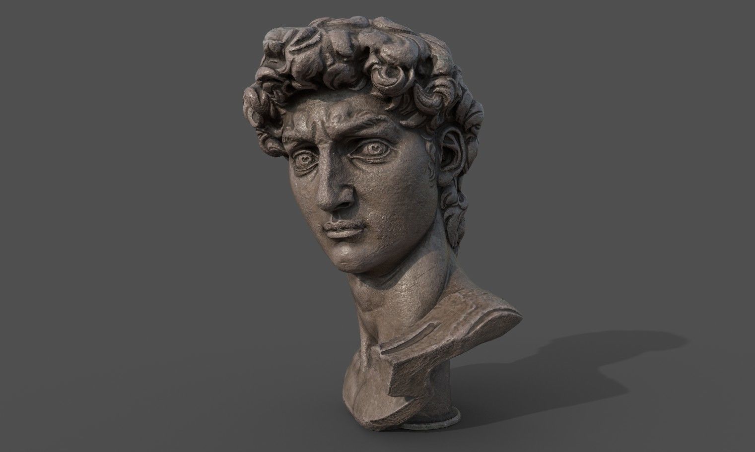 Bust of David   Low-poly 3D model_15