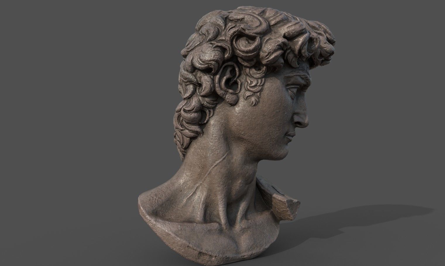 Bust of David   Low-poly 3D model_3