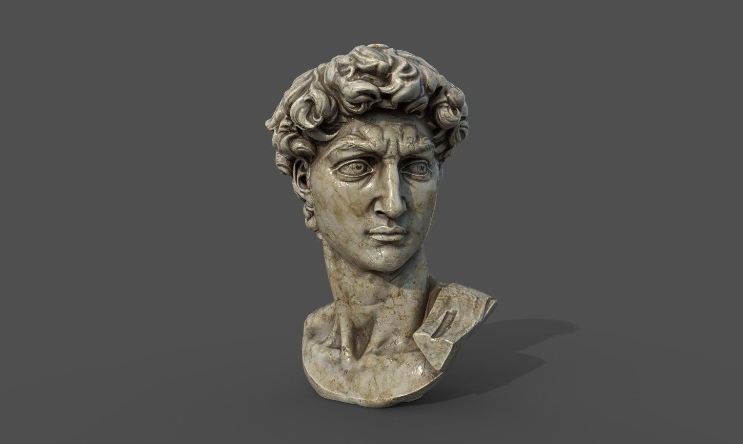 Bust of David   Low-poly 3D model_19
