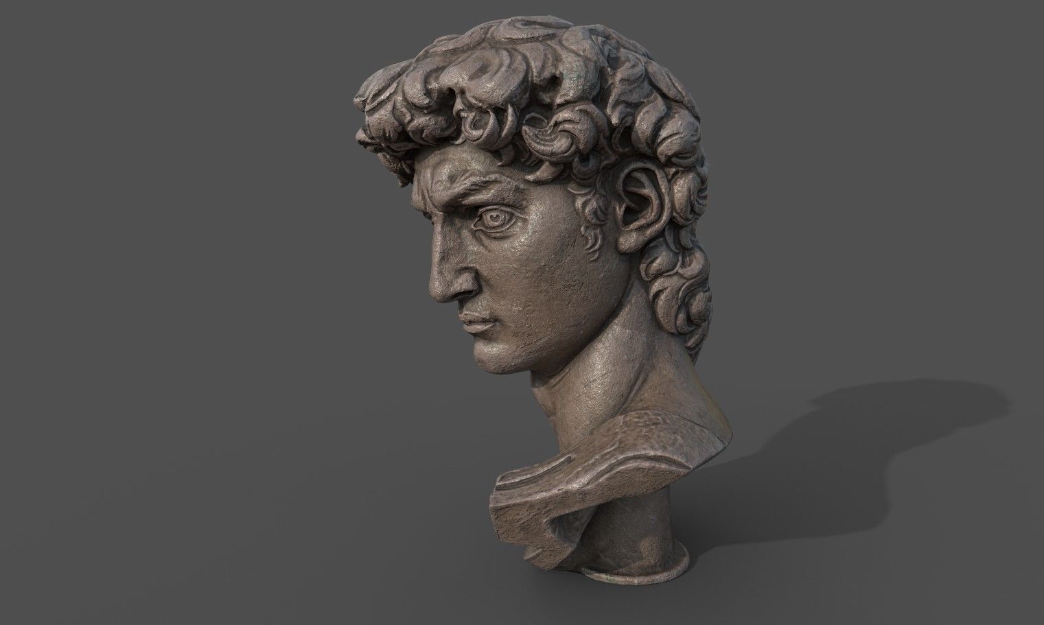 Bust of David   Low-poly 3D model_8