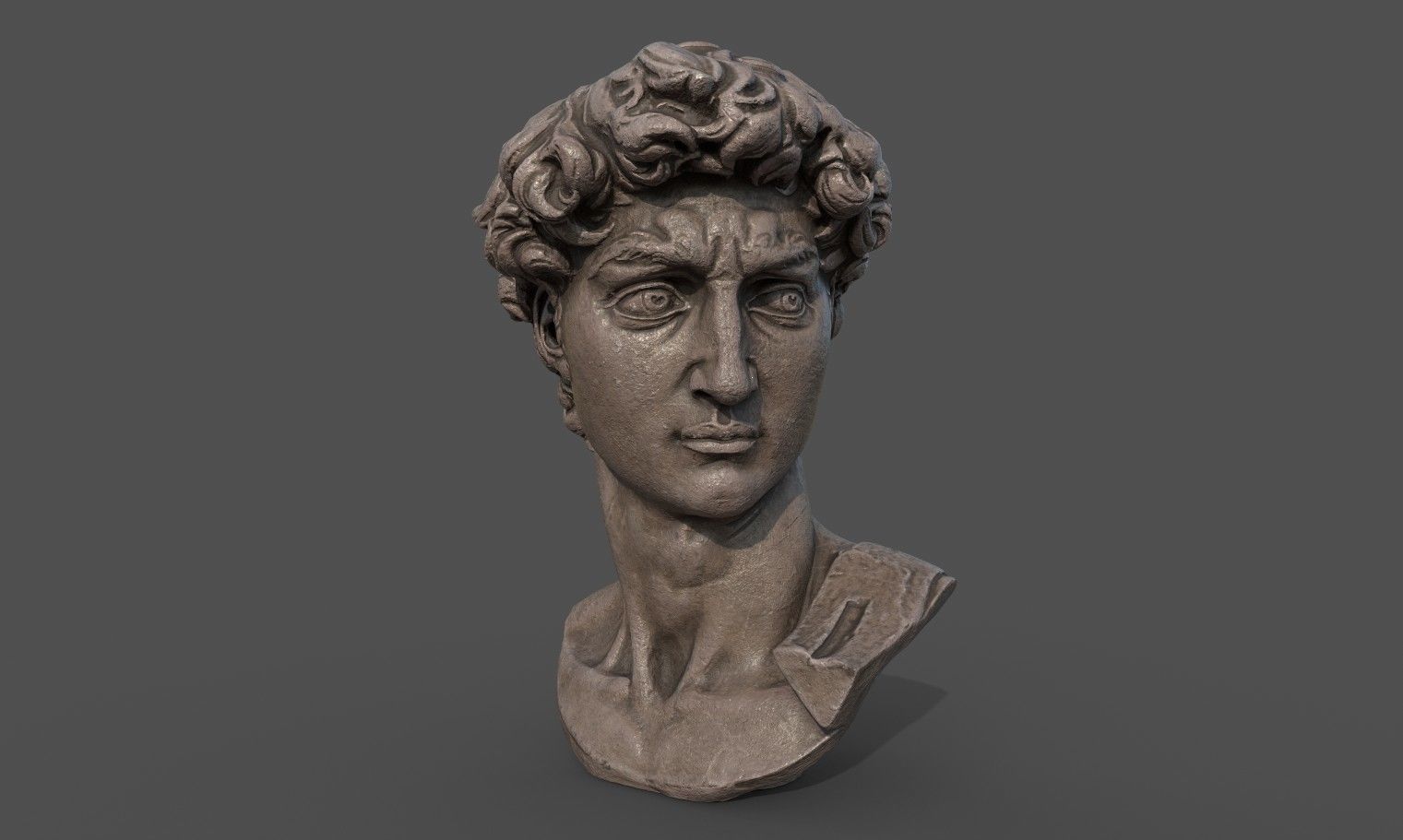 Bust of David   Low-poly 3D model_13