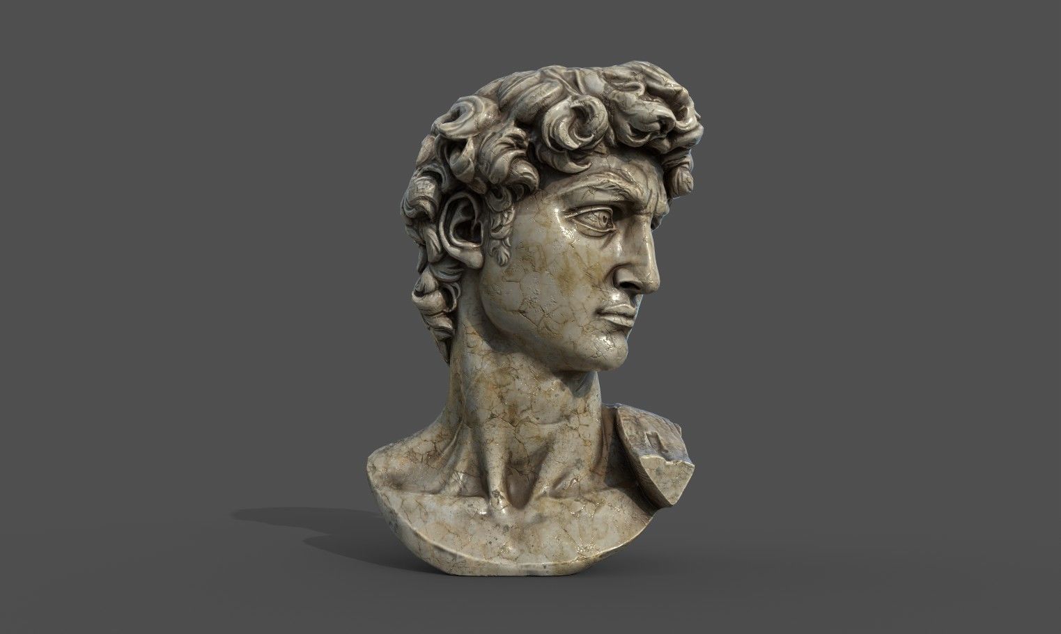 Bust of David   Low-poly 3D model_20