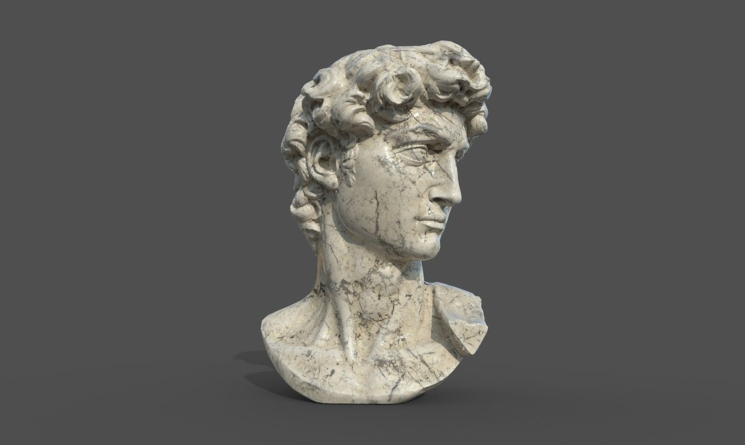 Bust of David   Low-poly 3D model_23