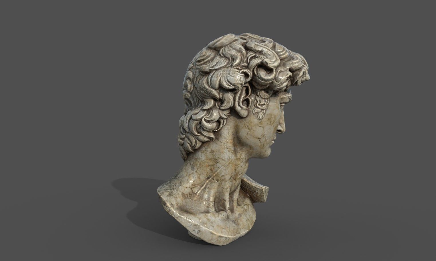 Bust of David   Low-poly 3D model_21
