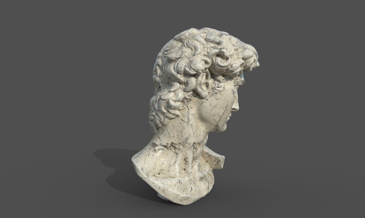 Bust of David   Low-poly 3D model_22