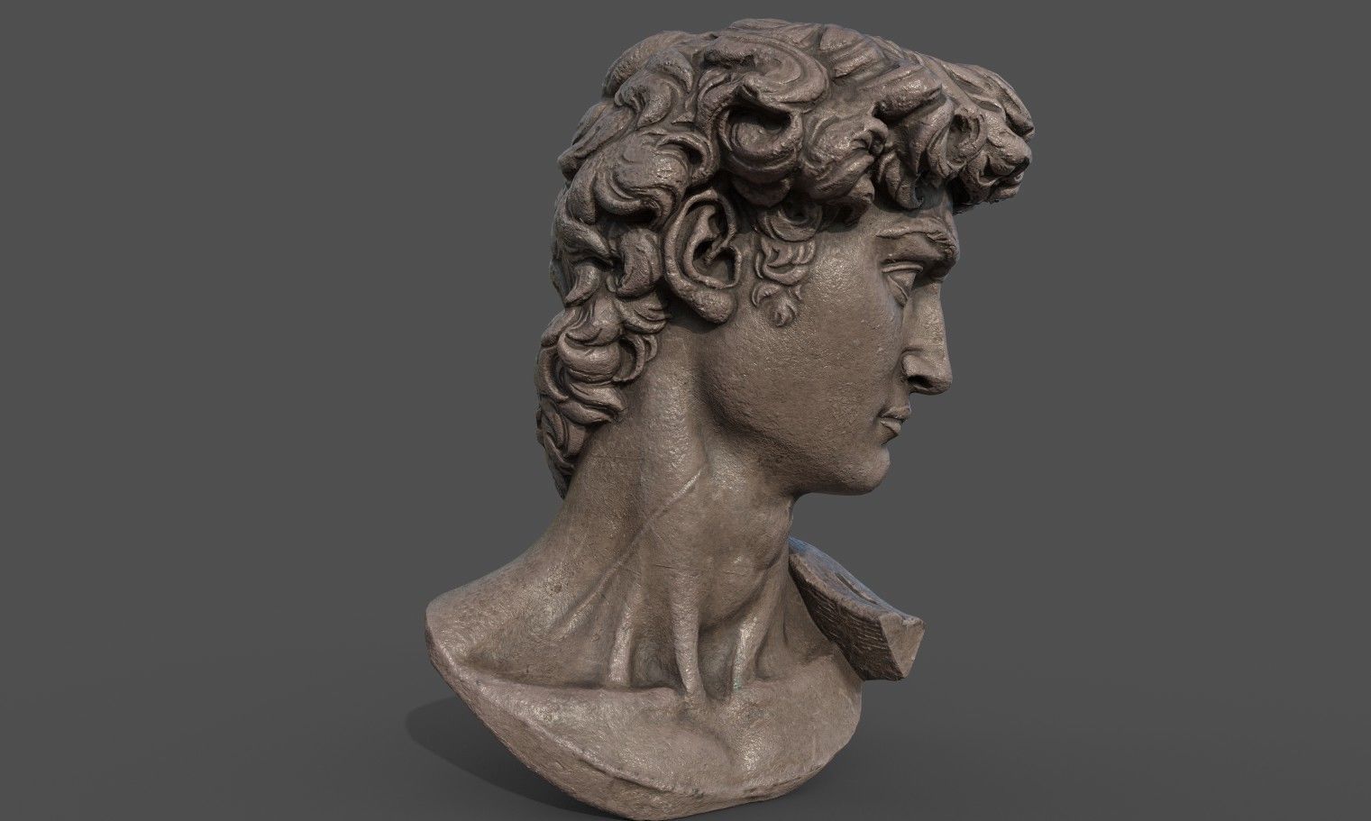 Bust of David   Low-poly 3D model_2