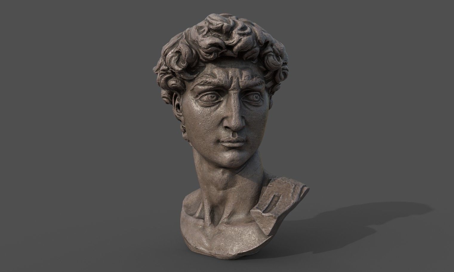 Bust of David   Low-poly 3D model_10