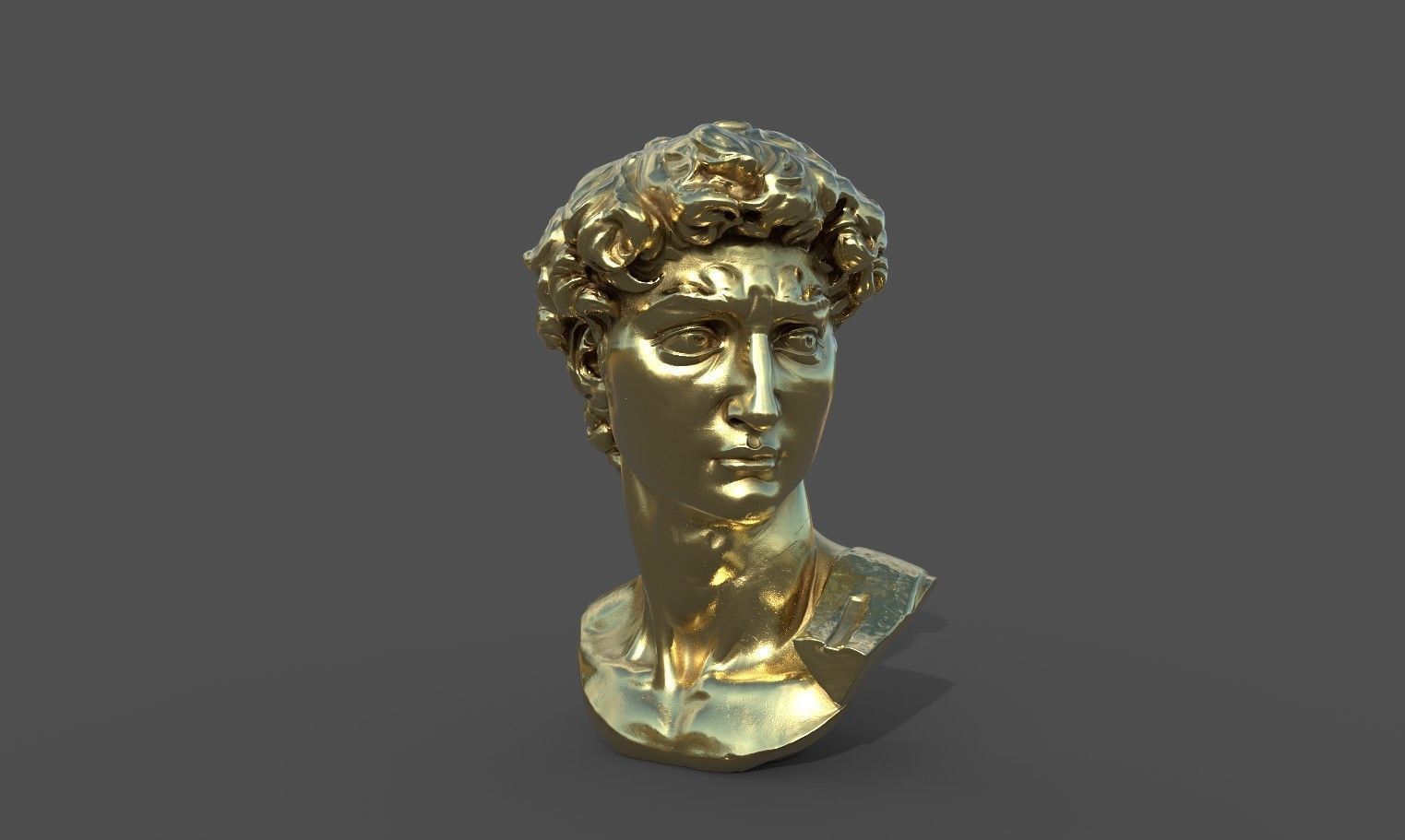 Bust of David   Low-poly 3D model_27