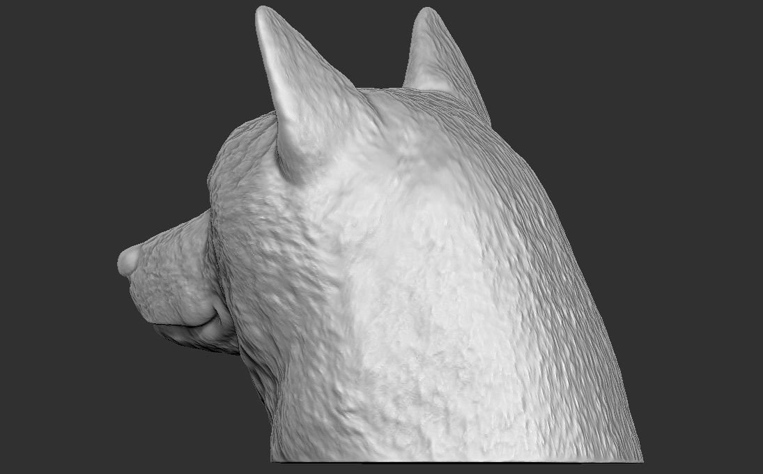 Shiba Inu head for 3D printing 3D print model_8