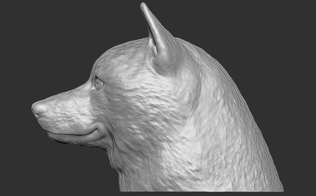 Shiba Inu head for 3D printing 3D print model_7