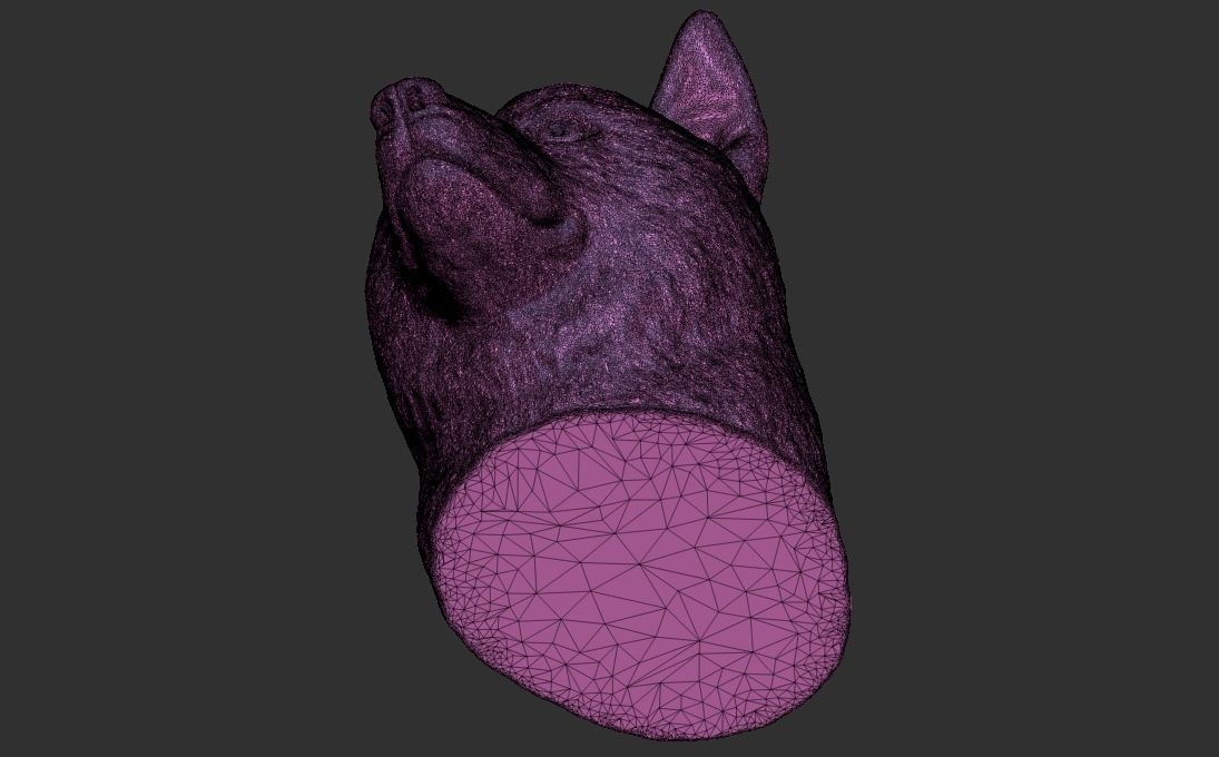 Shiba Inu head for 3D printing 3D print model_25
