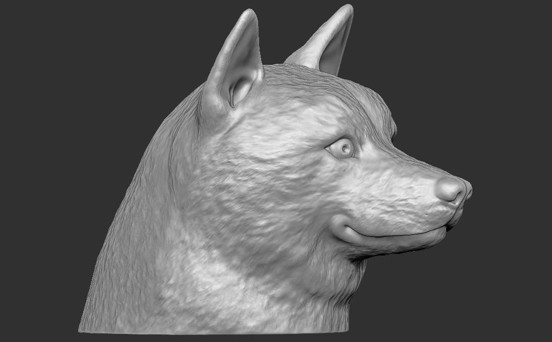 Shiba Inu head for 3D printing 3D print model_13