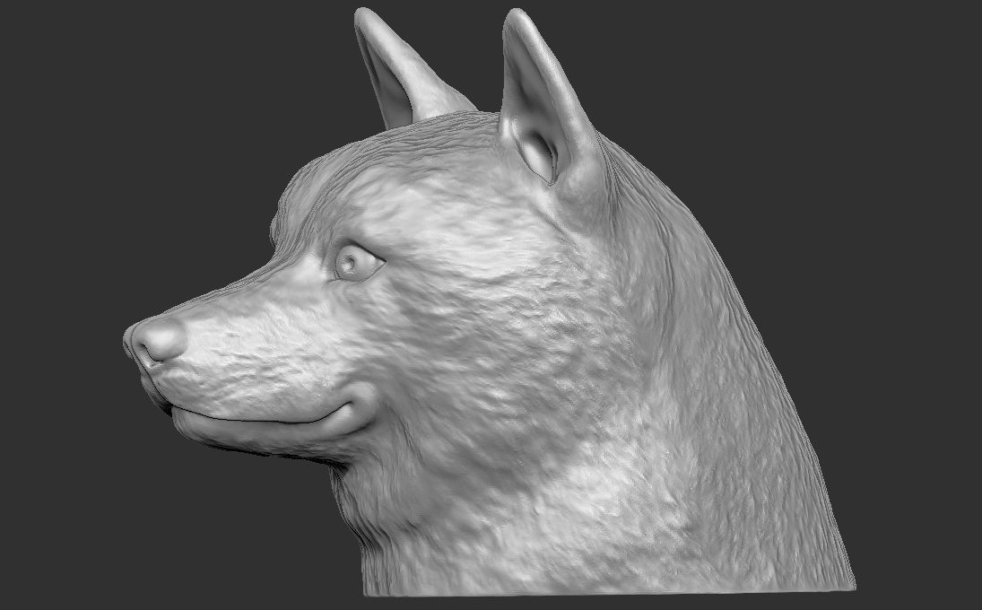 Shiba Inu head for 3D printing 3D print model_6