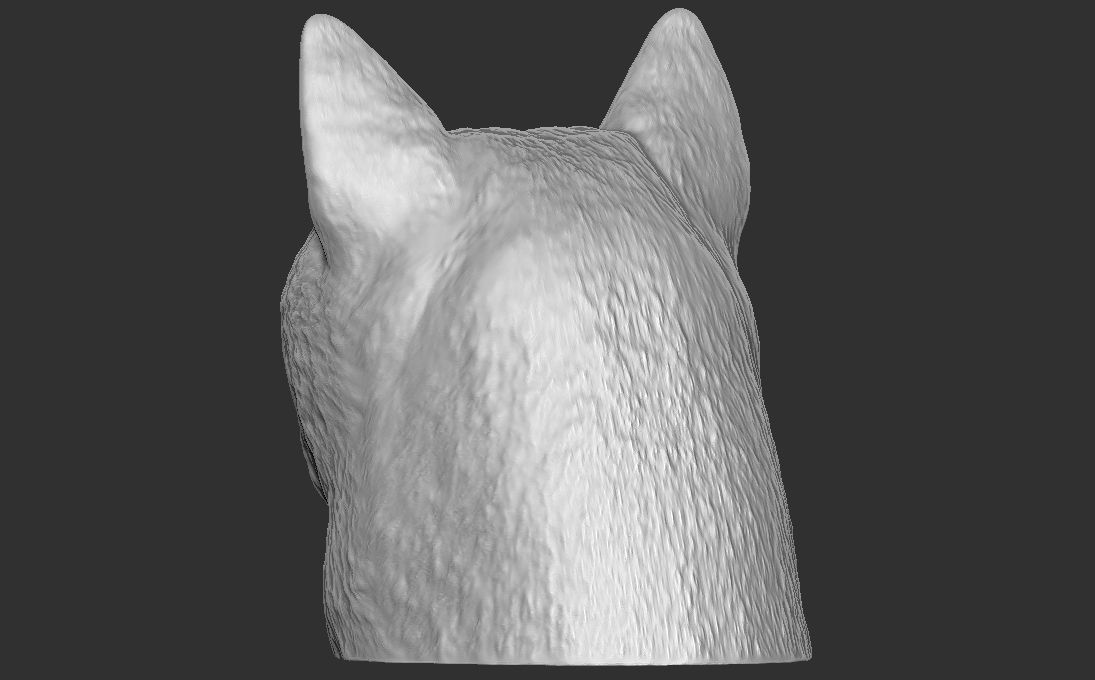 Shiba Inu head for 3D printing 3D print model_9