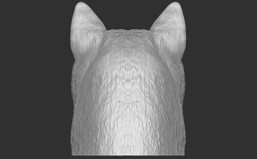 Shiba Inu head for 3D printing 3D print model_10