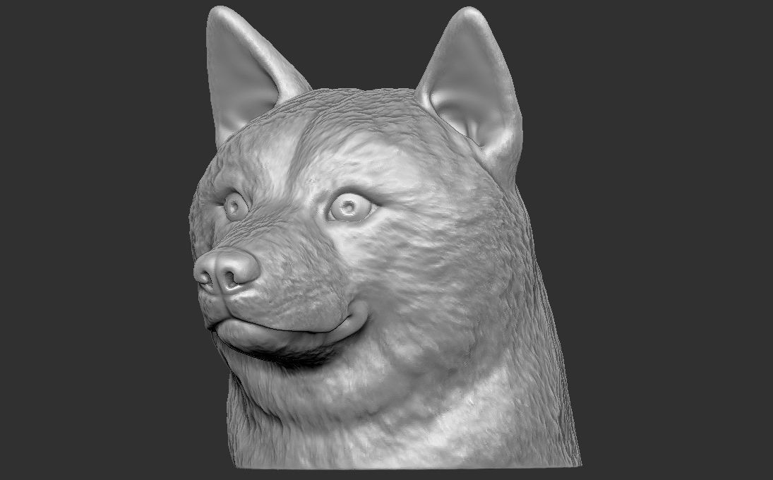 Shiba Inu head for 3D printing 3D print model_4