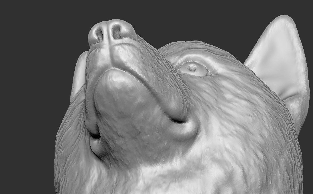Shiba Inu head for 3D printing 3D print model_17