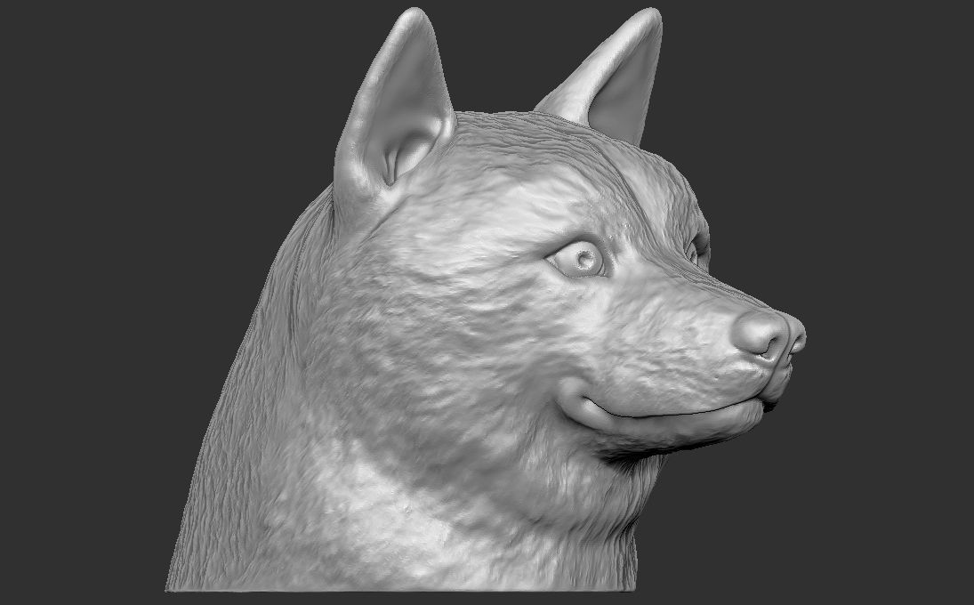 Shiba Inu head for 3D printing 3D print model_1