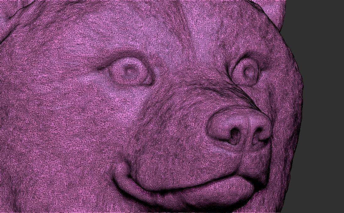 Shiba Inu head for 3D printing 3D print model_23