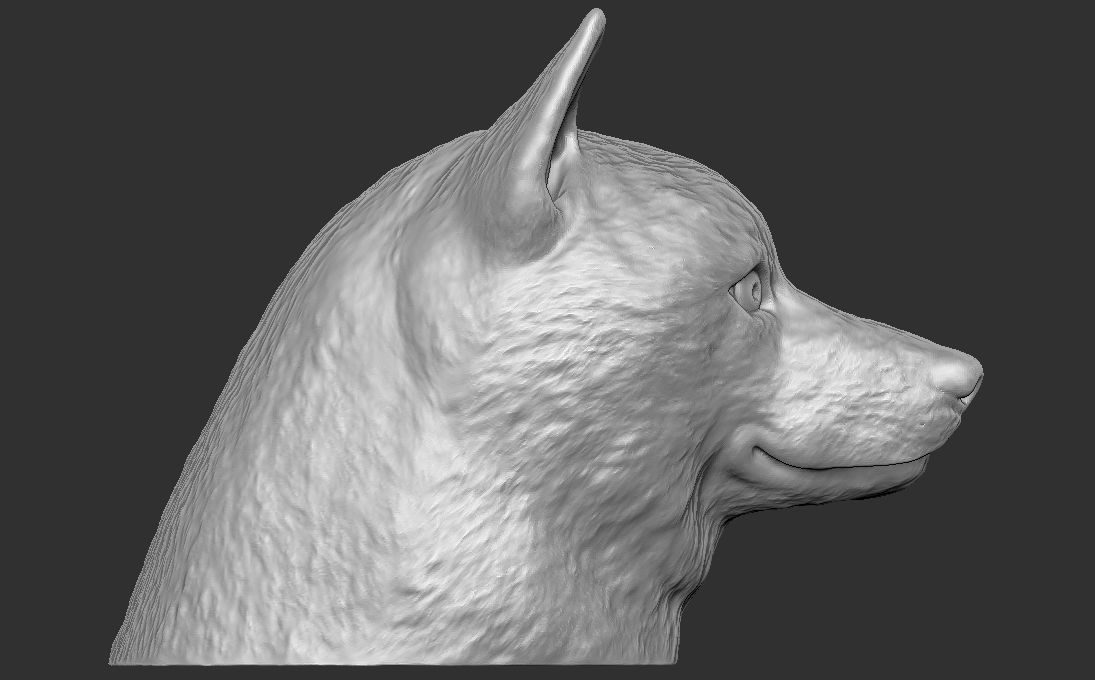 Shiba Inu head for 3D printing 3D print model_12