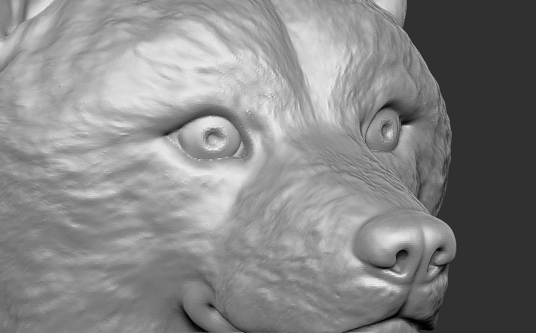 Shiba Inu head for 3D printing 3D print model_15
