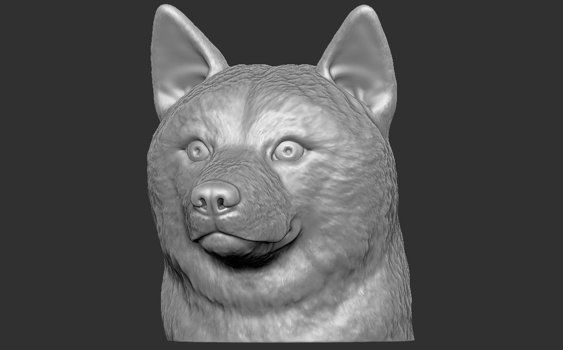 Shiba Inu head for 3D printing 3D print model_3