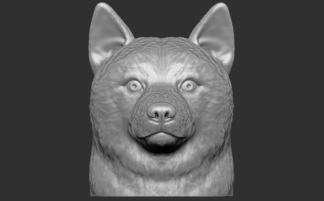 Shiba Inu head for 3D printing 3D print model_2