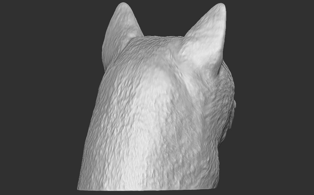Shiba Inu head for 3D printing 3D print model_11