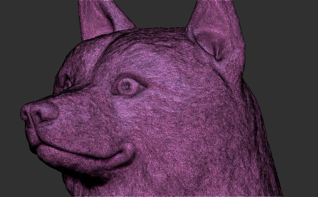 Shiba Inu head for 3D printing 3D print model_24