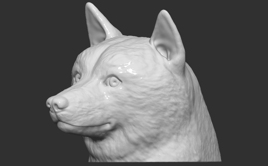 Doge meme Shiba Inu head for 3D printing 3D print model_2