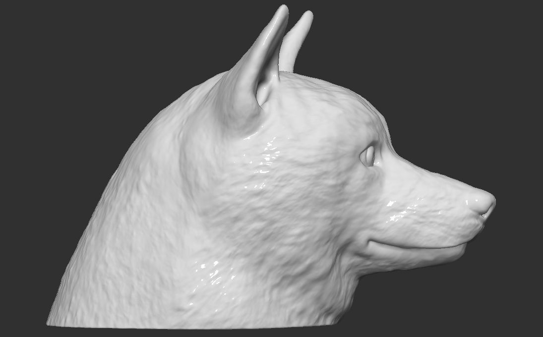 Doge meme Shiba Inu head for 3D printing 3D print model_10