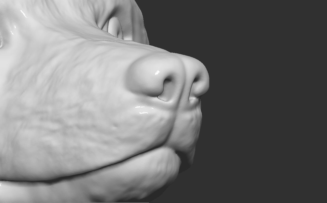 Doge meme Shiba Inu head for 3D printing 3D print model_25