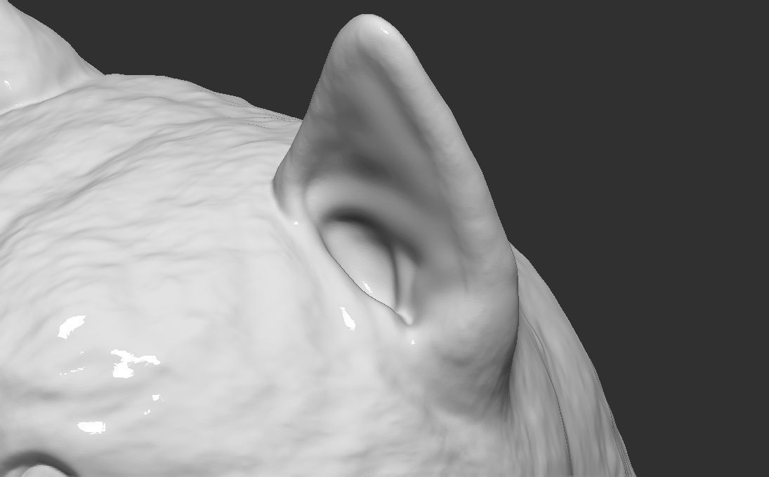 Doge meme Shiba Inu head for 3D printing 3D print model_26