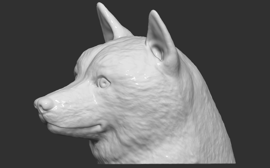 Doge meme Shiba Inu head for 3D printing 3D print model_3
