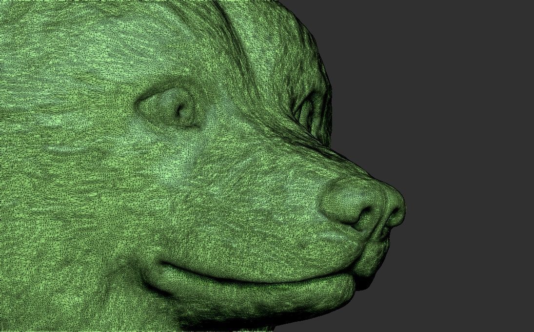 Doge meme Shiba Inu head for 3D printing 3D print model_28