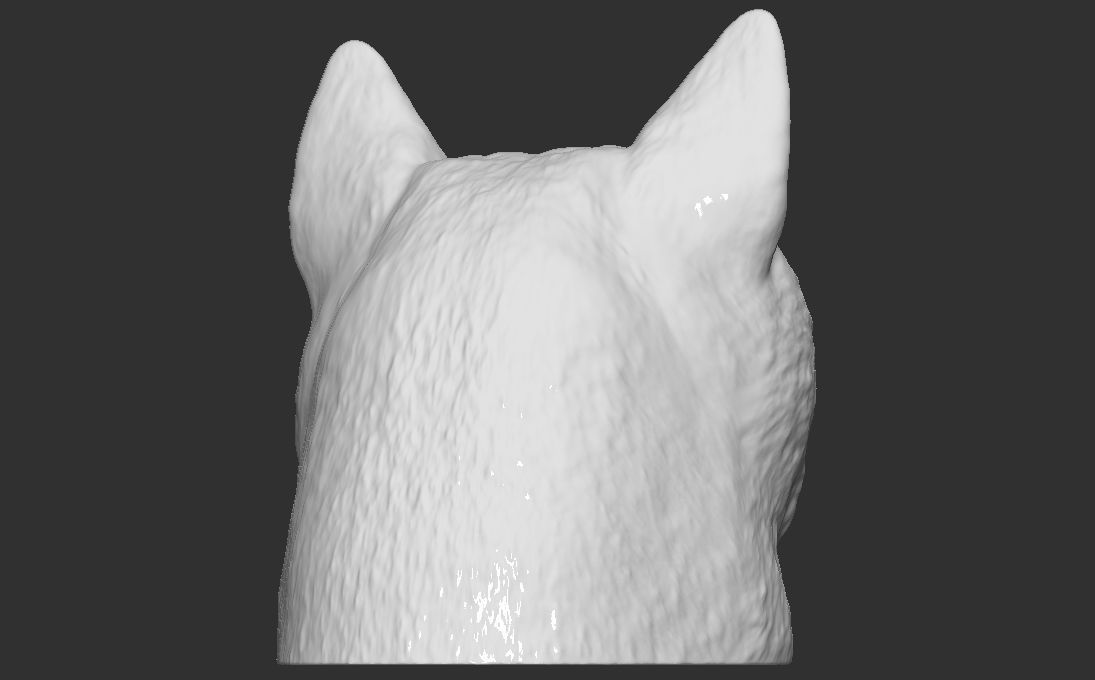 Doge meme Shiba Inu head for 3D printing 3D print model_7