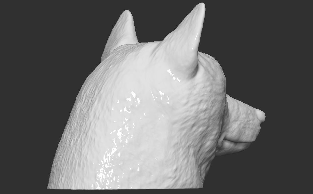 Doge meme Shiba Inu head for 3D printing 3D print model_8
