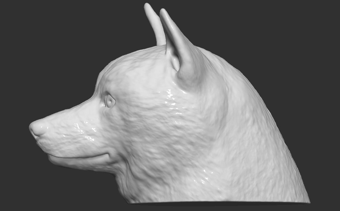 Doge meme Shiba Inu head for 3D printing 3D print model_4