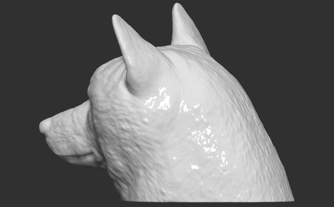 Doge meme Shiba Inu head for 3D printing 3D print model_5